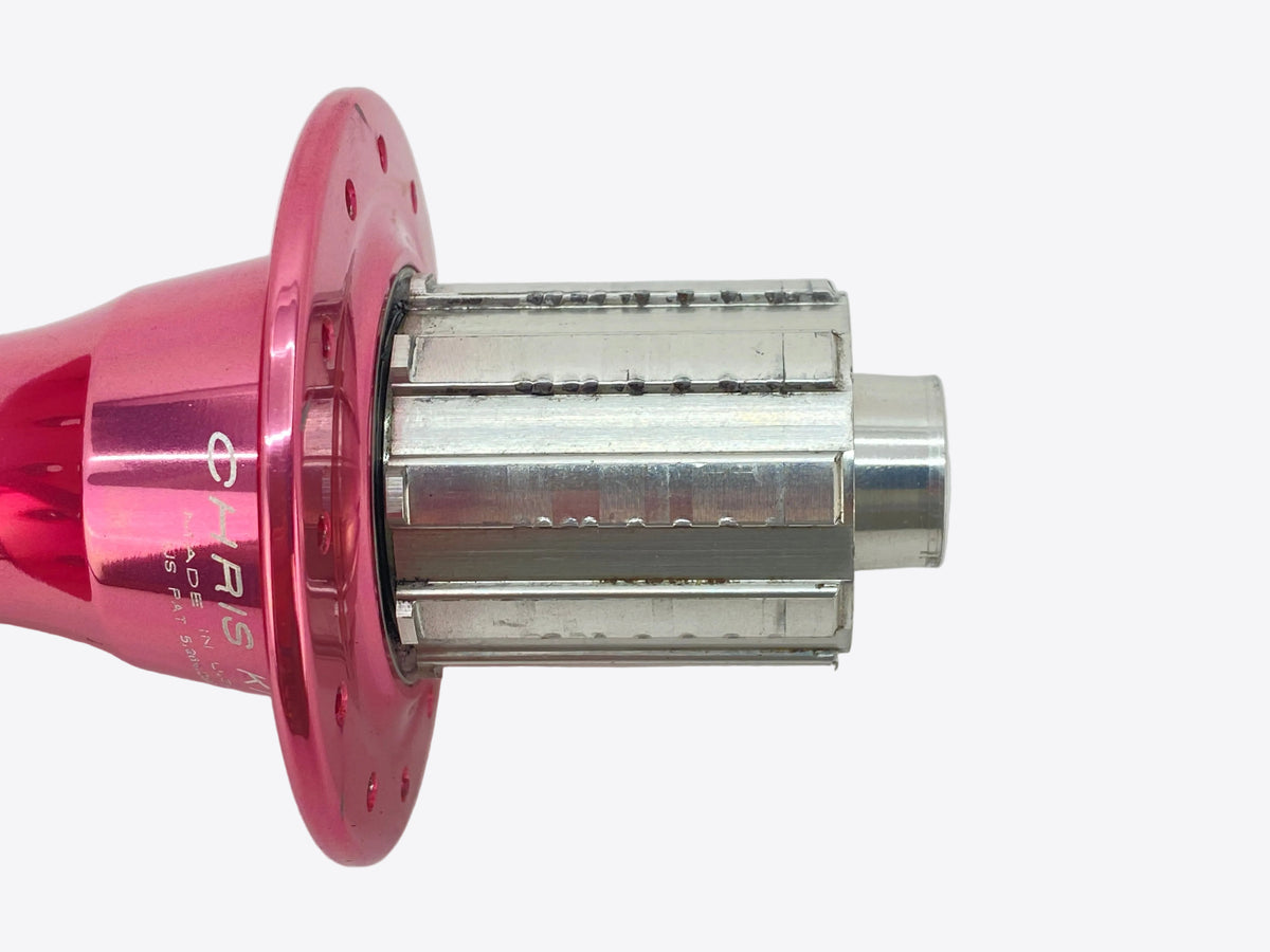 close up of the freehub with bite marks