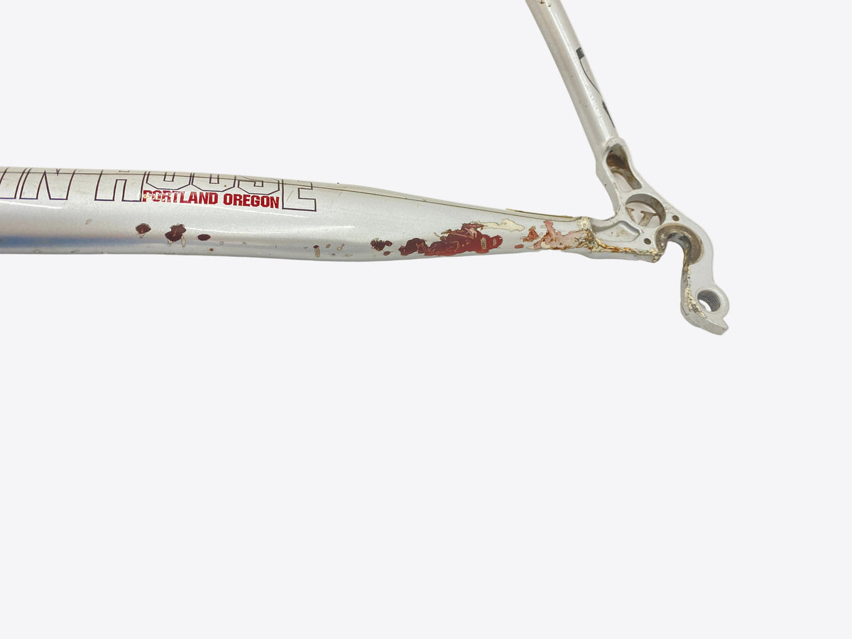 paint chips on the right chain stay