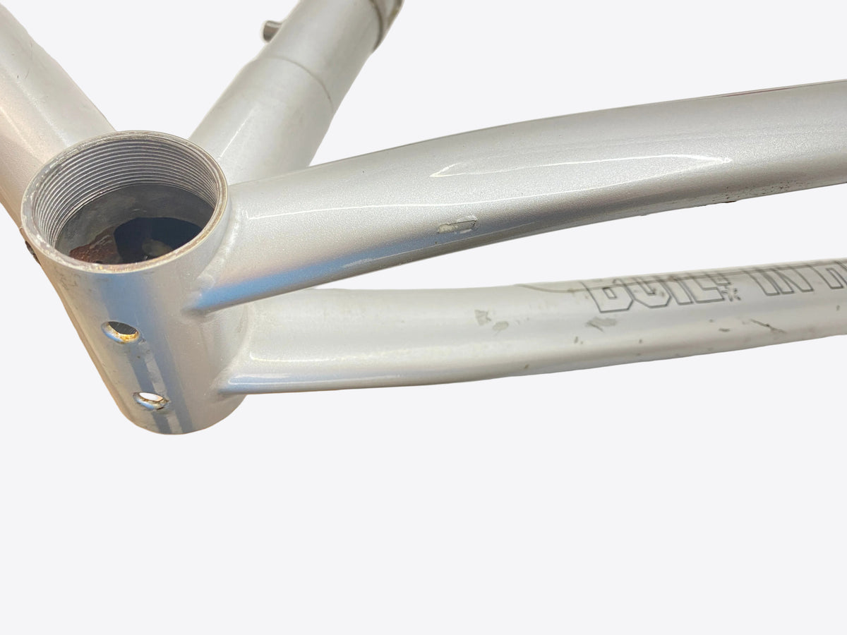 paint chips on the left chain stay
