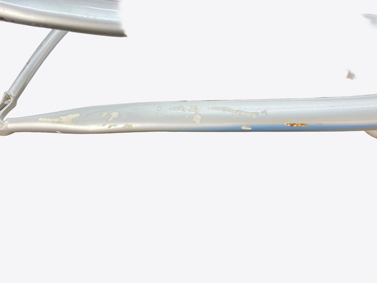 paint chips inside the left chain stay