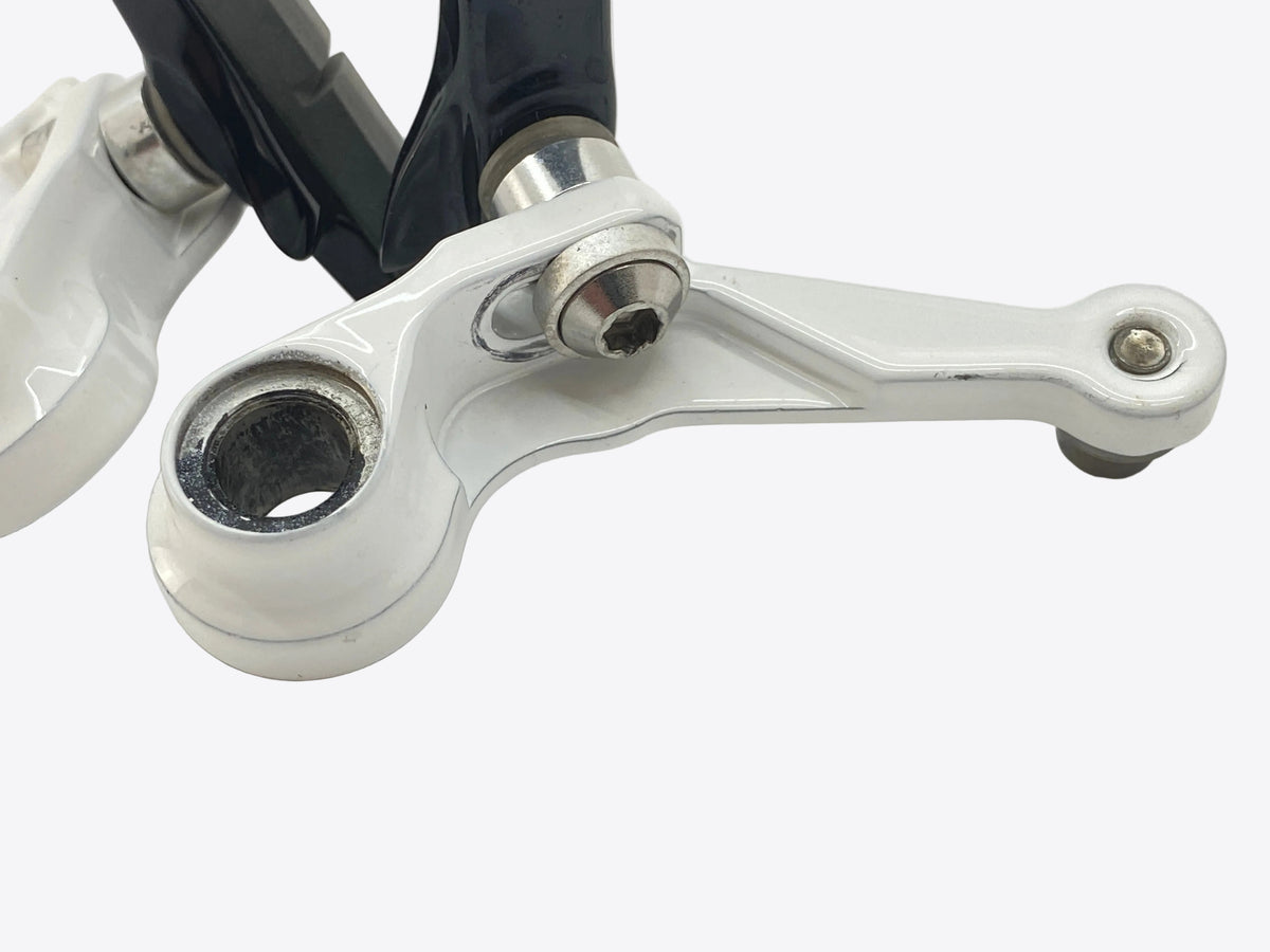 paint wear on the touring brake