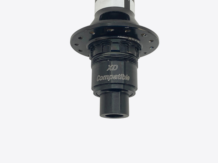 close up of the freehub body