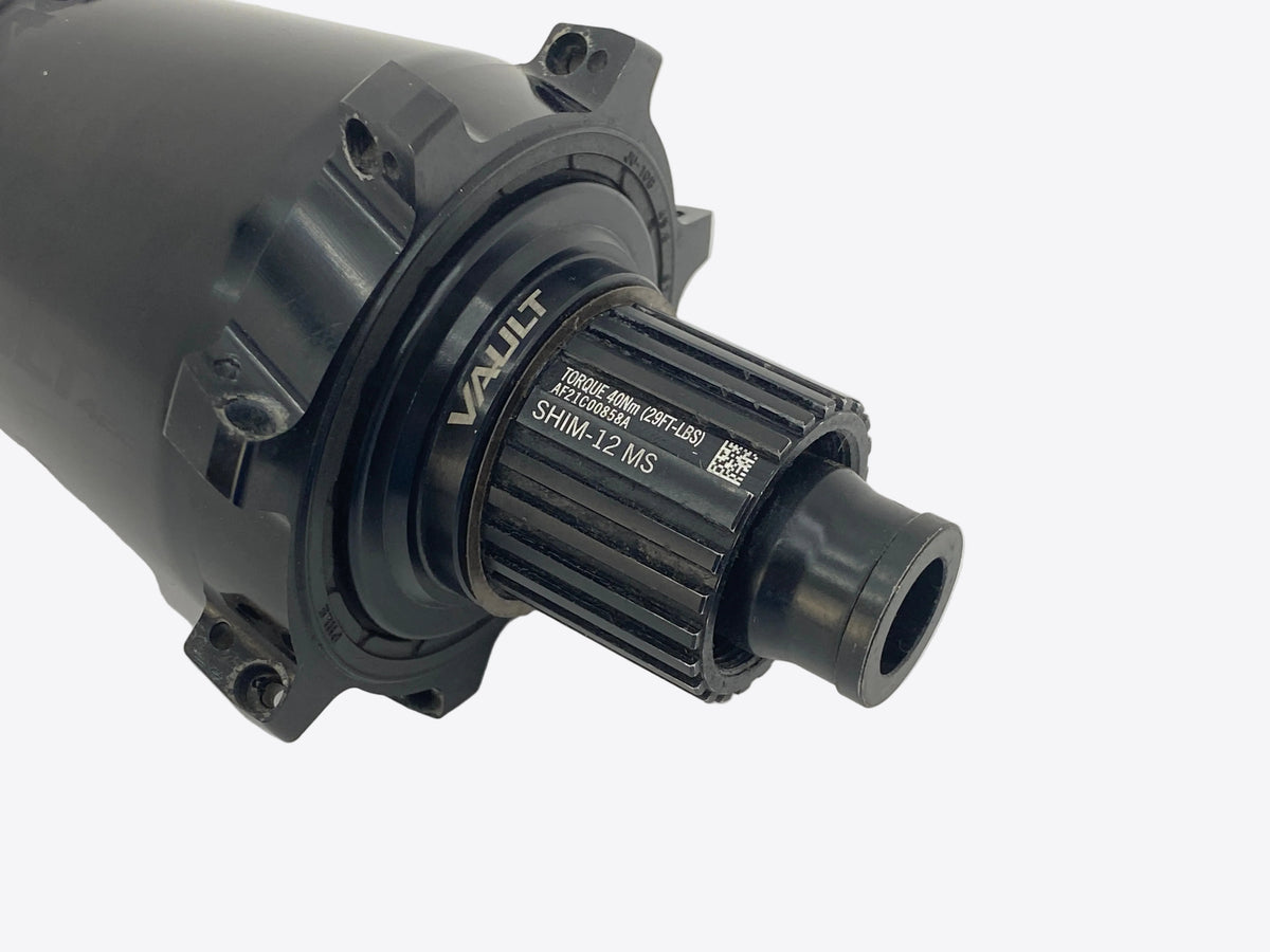 close up of the freehub body