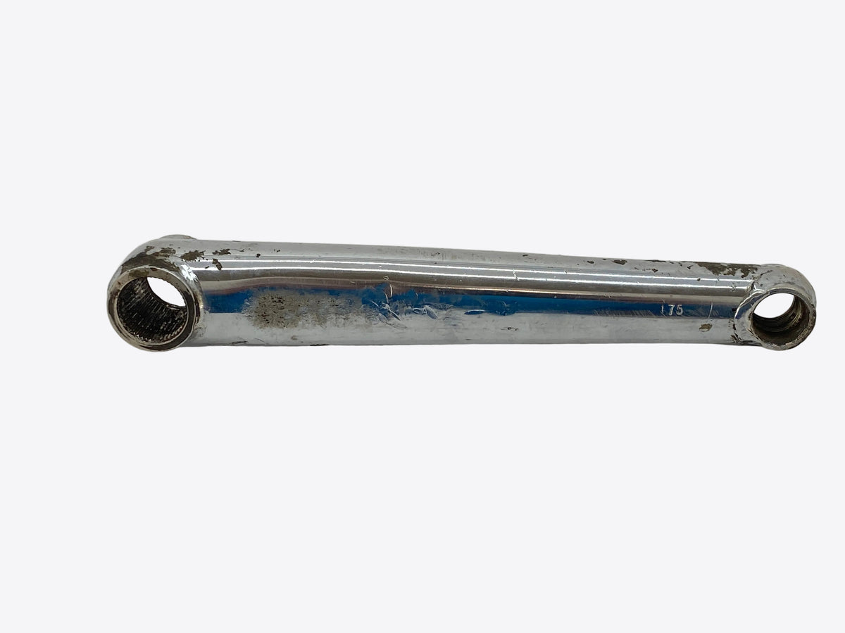 backside view of the left arm