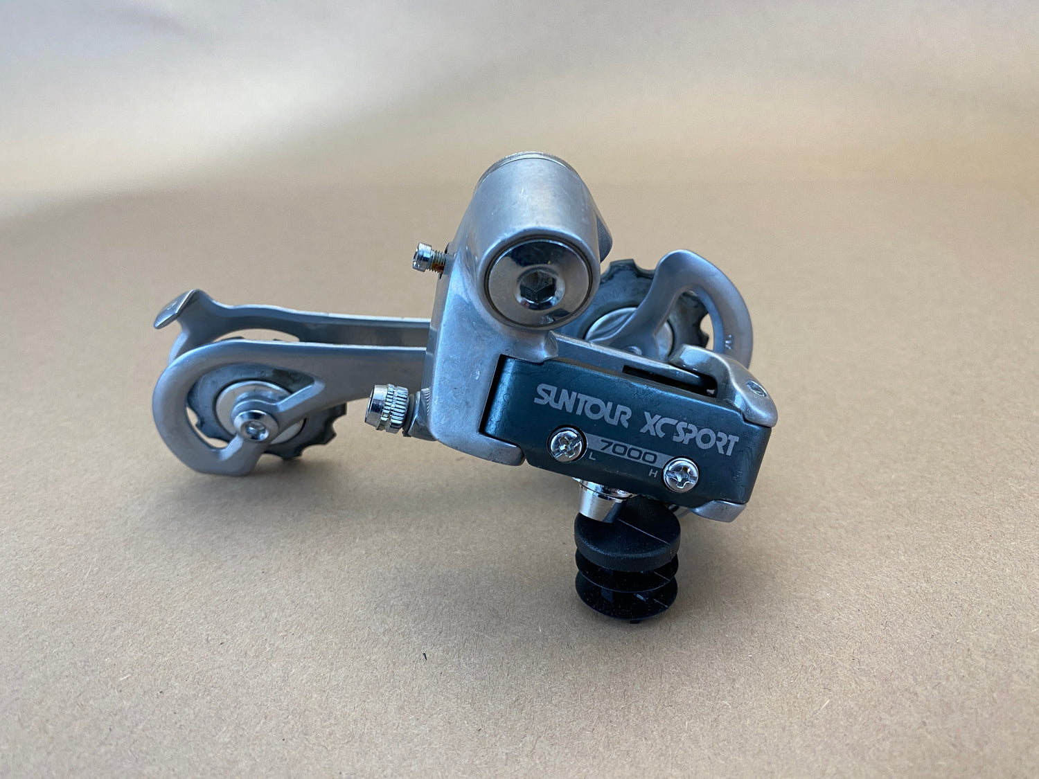 main view of the rear derailleur