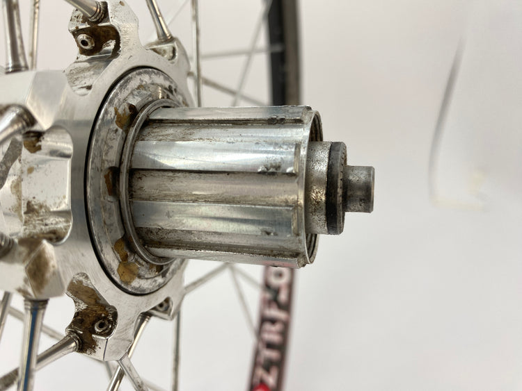 close up of the freehub body