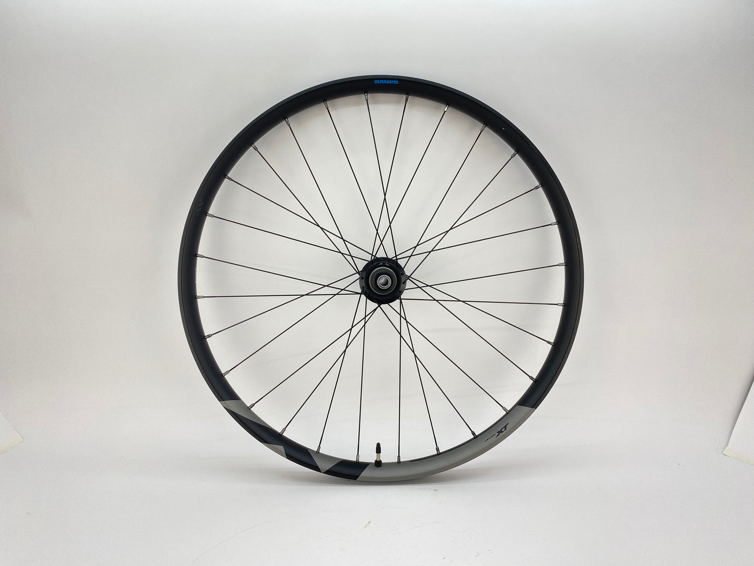 main view of the wheel
