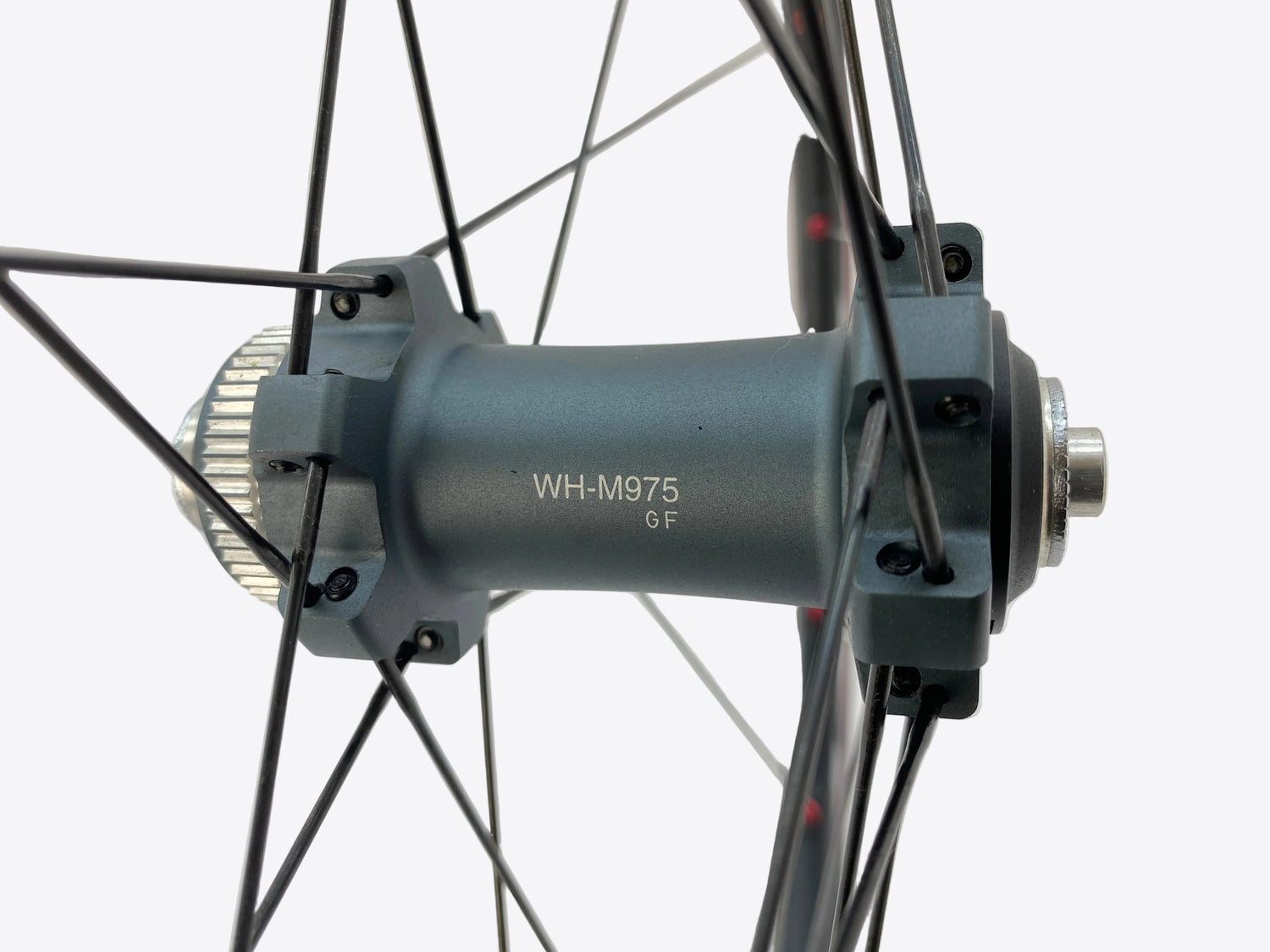 close up of the model number
