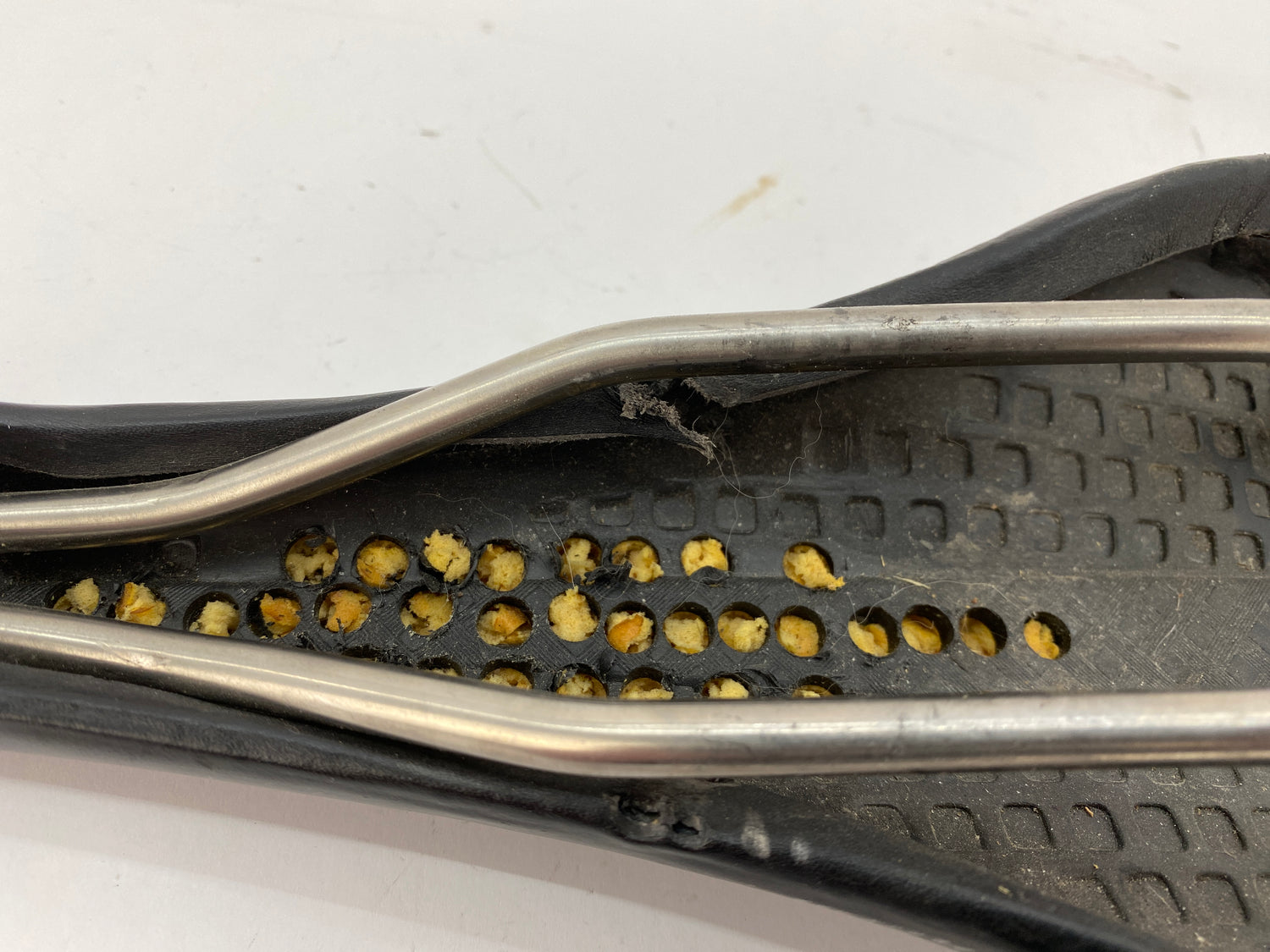 close up of the saddle shell