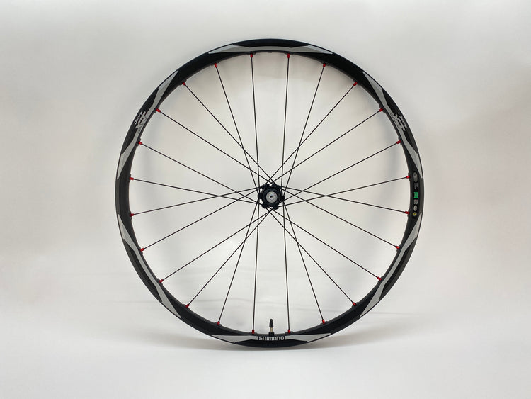 main view of the wheel
