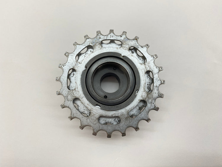 backside view of the freewheel