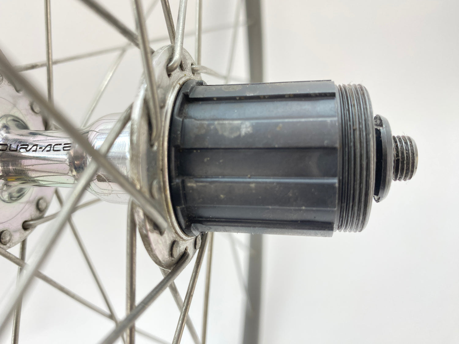 close up of the freehub
