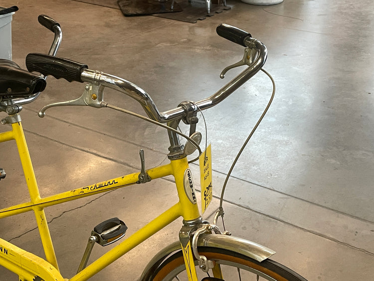 Adult Electric Bicycles Schwinn Twinn Tandem Bike 21-Speed Adult