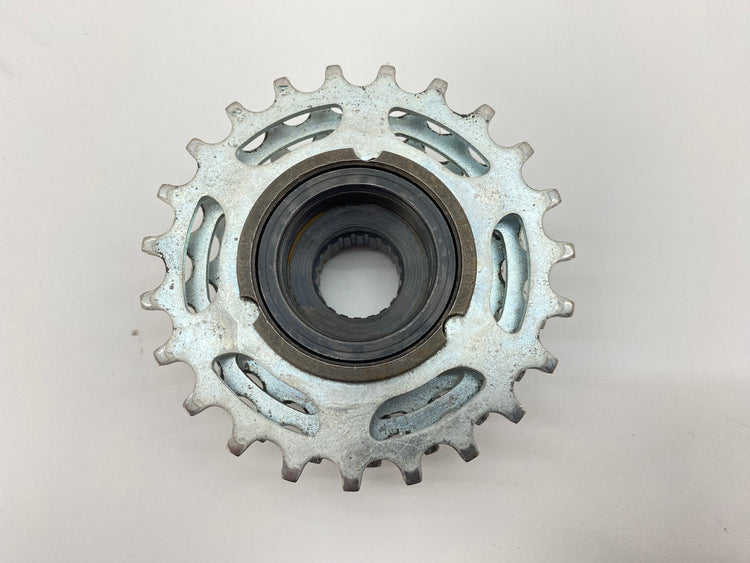 backside view of the freewheel
