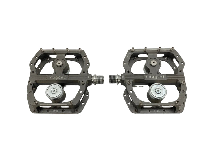 main view of the pedals