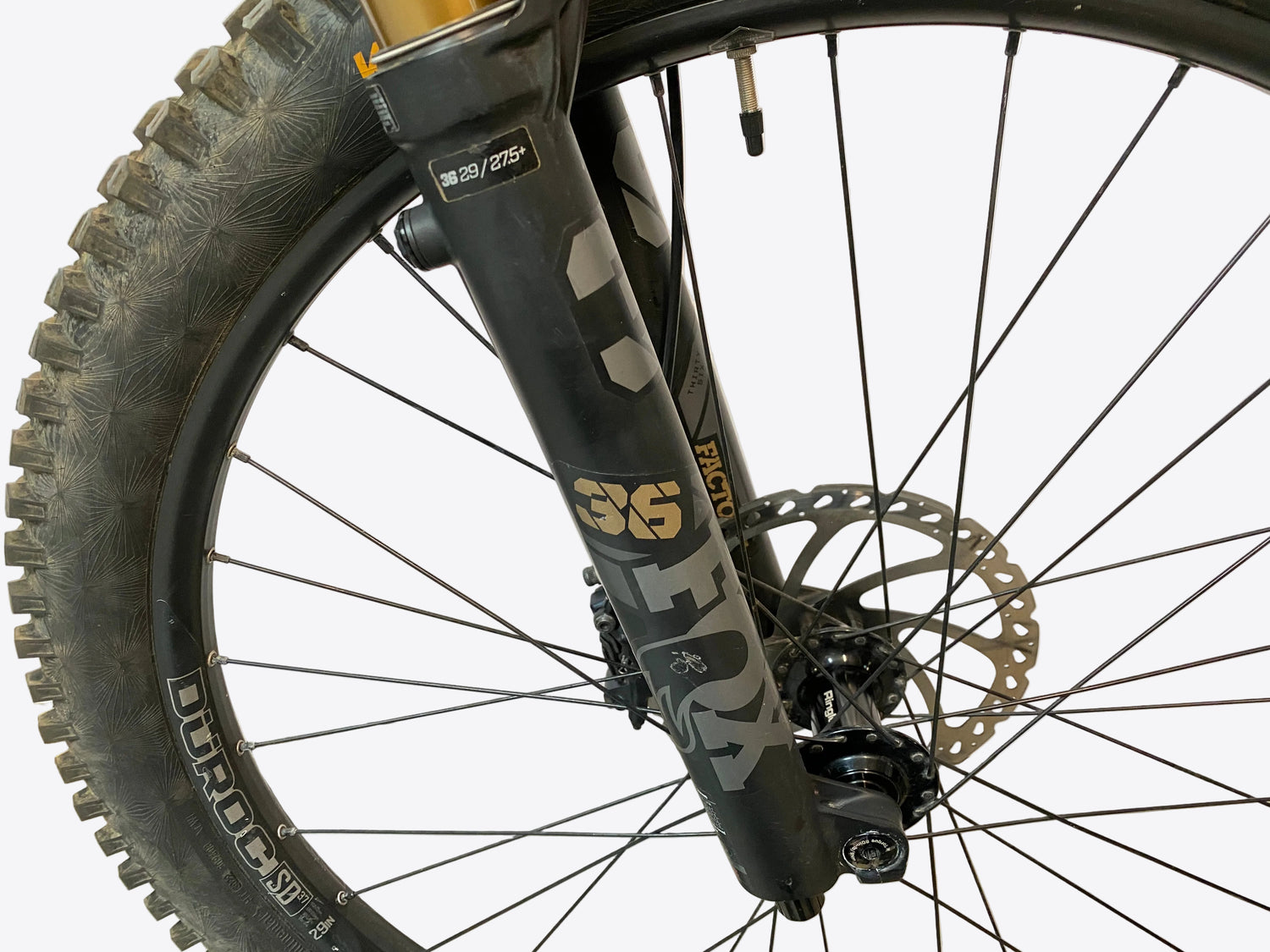 close up of the right lower fork leg