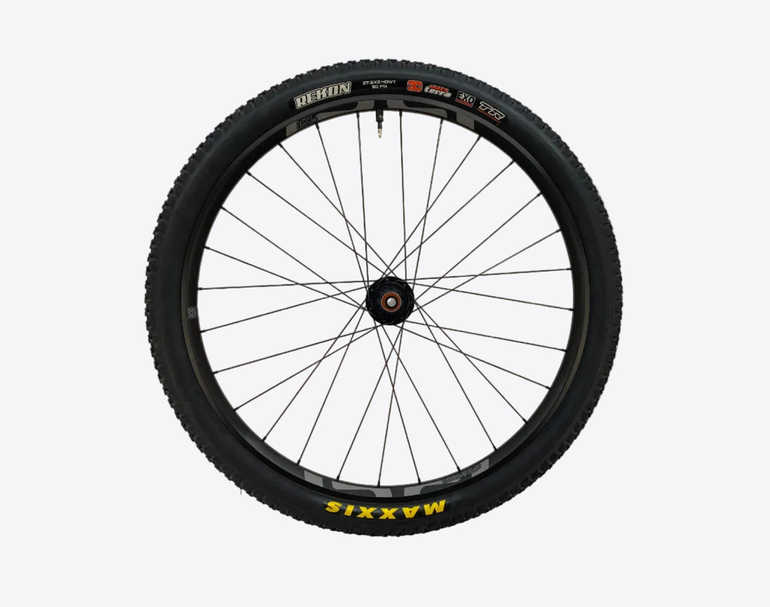 main view of the wheel