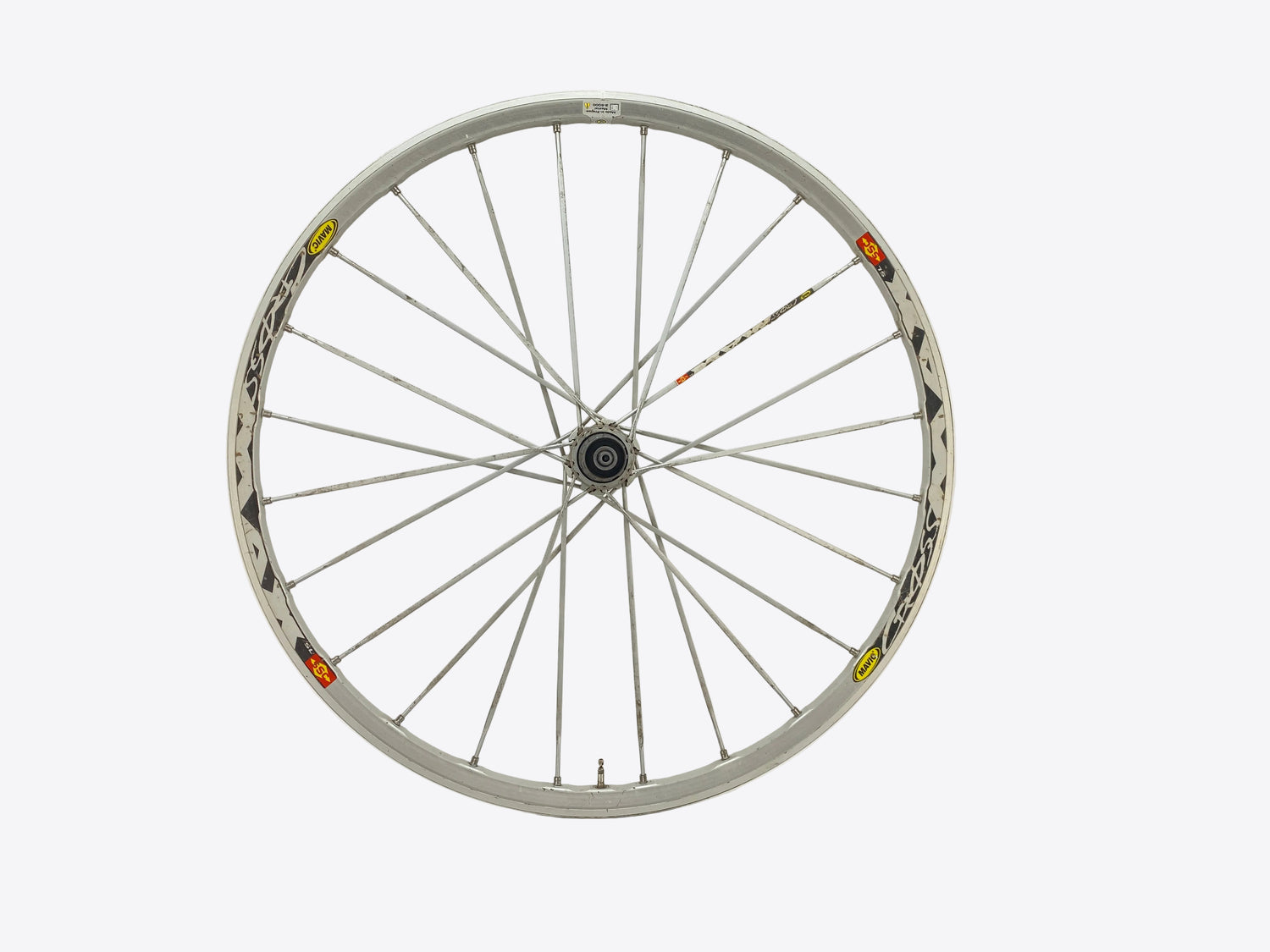 main view of the wheel