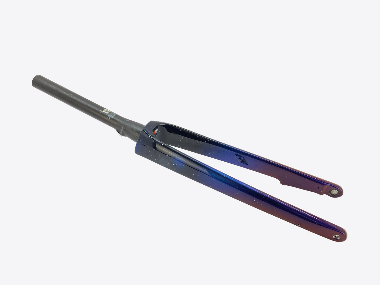 main view of the fork