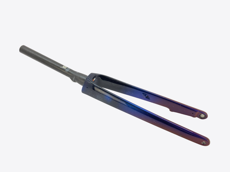 main view of the fork