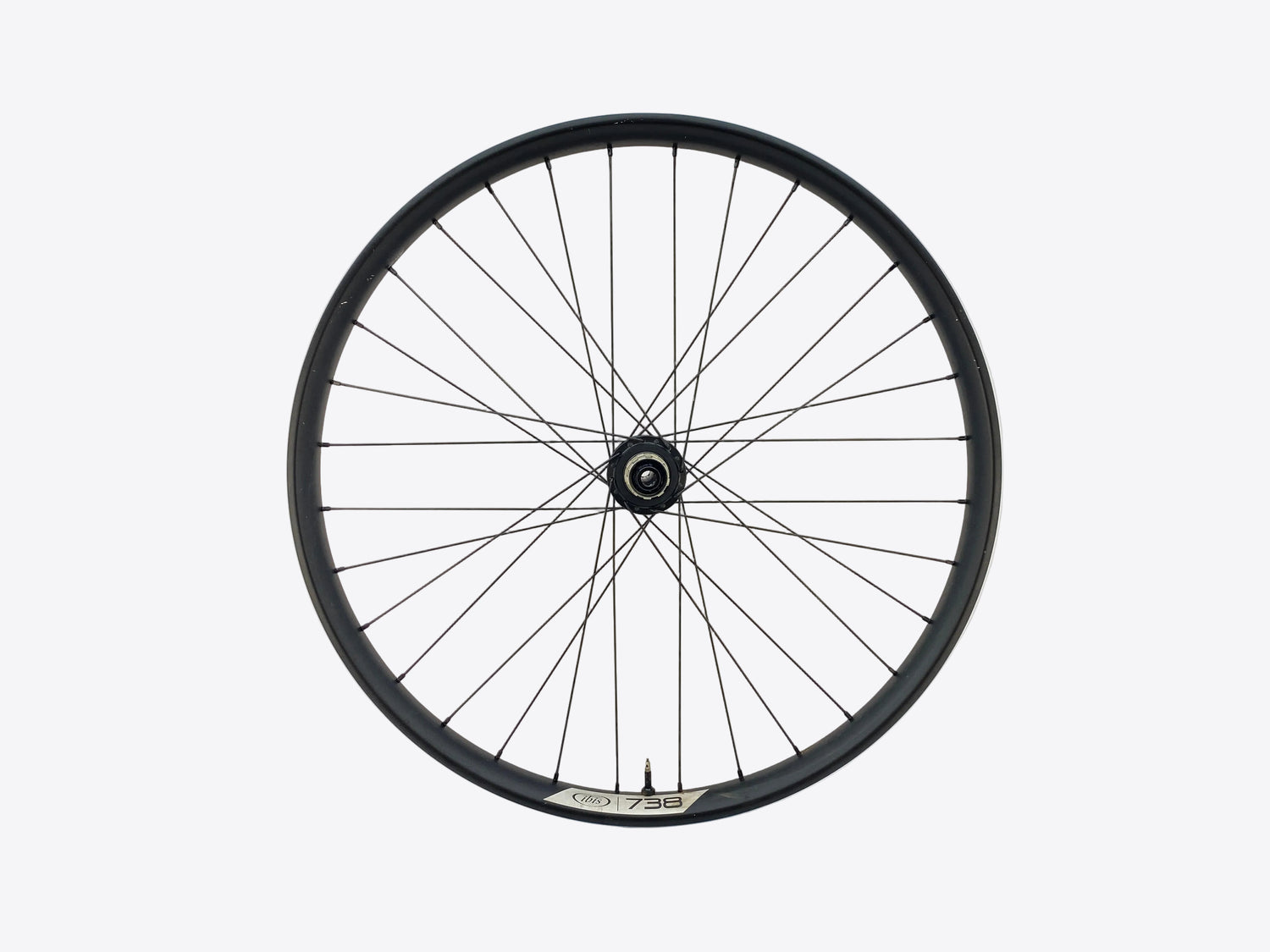 main view of the wheel