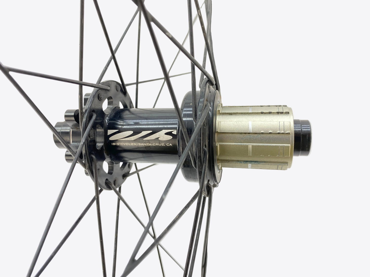 close up of the hub