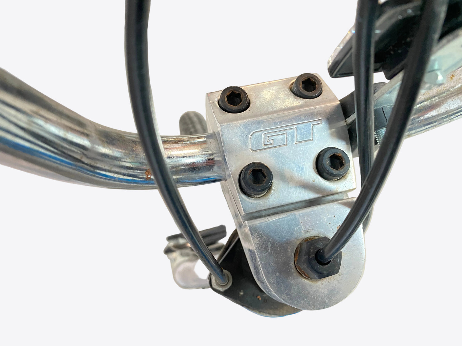 close up of the stem