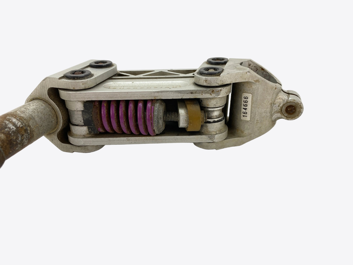 underside view of the stem