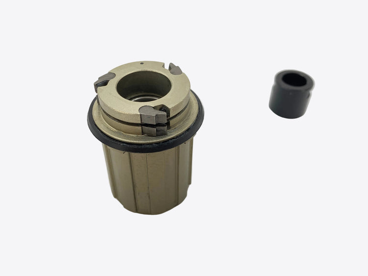 backside view of the freehub body