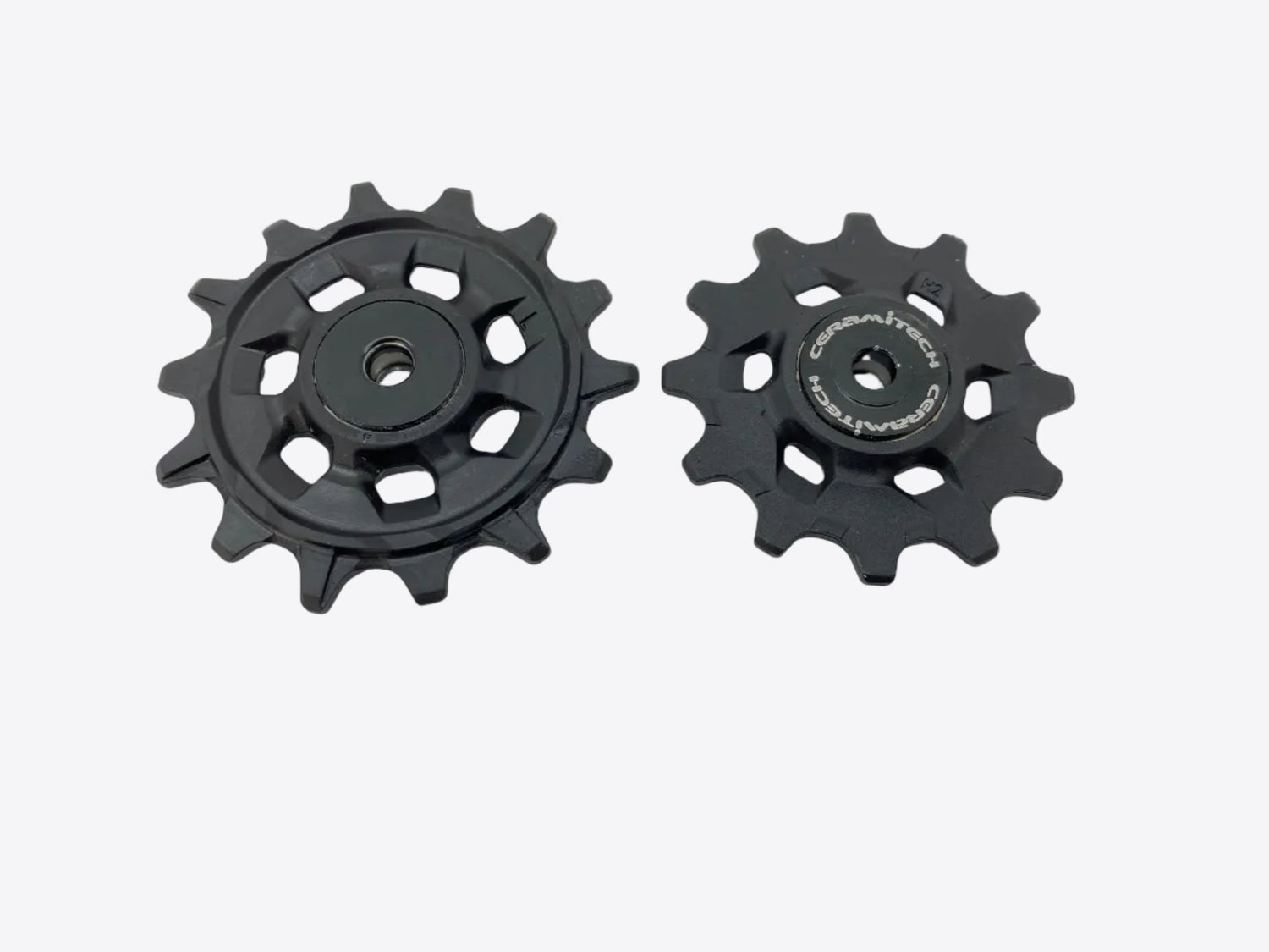 main view of the derailleur pulleys