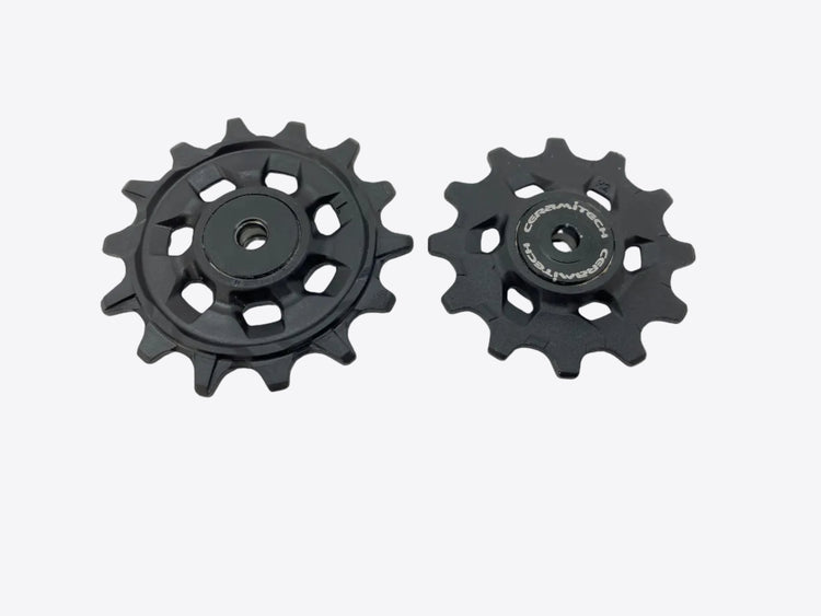 main view of the derailleur pulleys