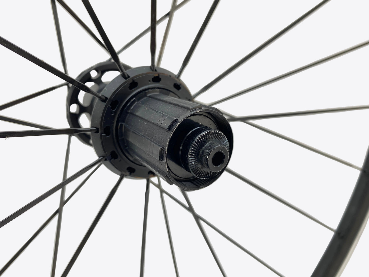 close up of the freehub