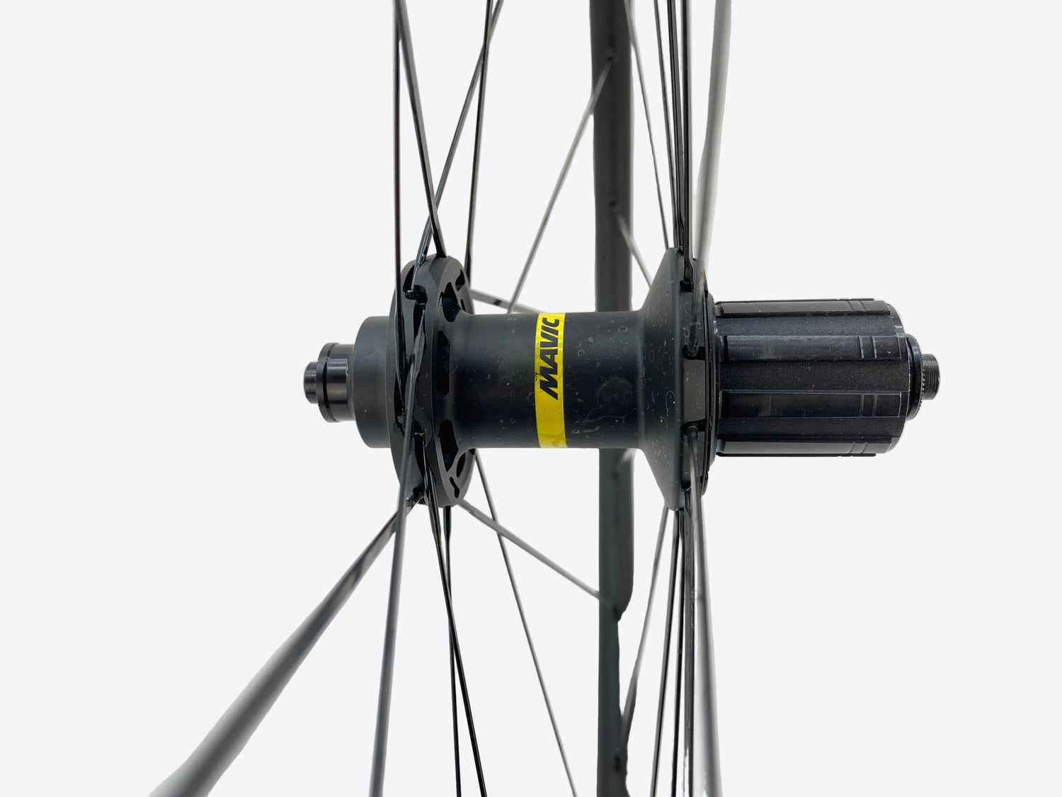 view of the rear hub