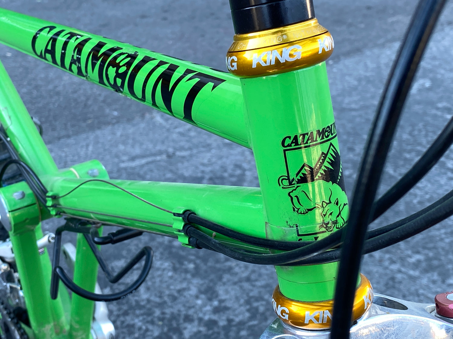 Paulina's Bike Shop Paulina's Bike Shop New Arrivals