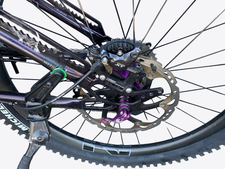 view of the rear brake