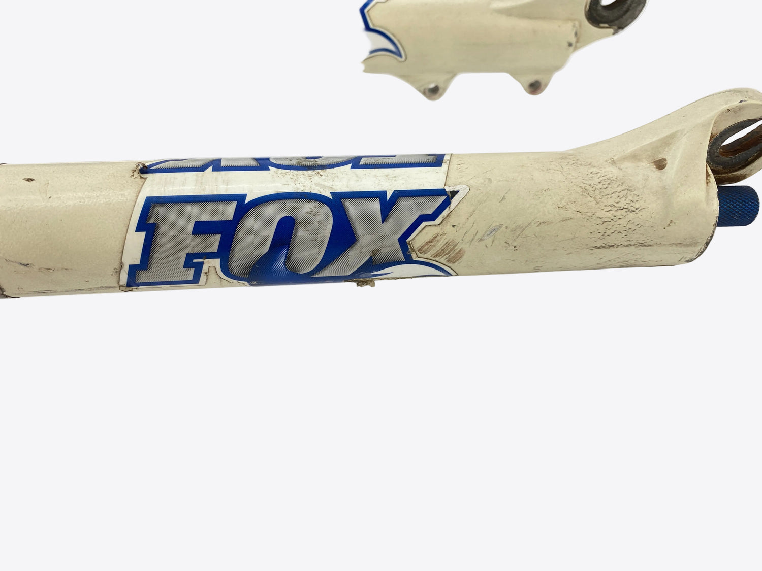 view of the right lower leg