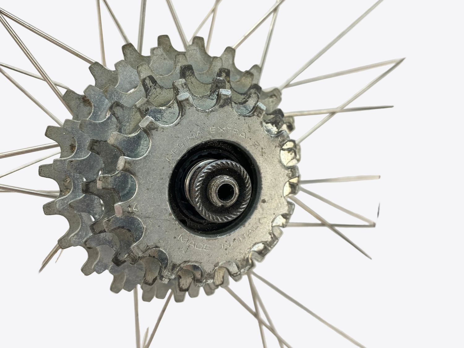 close up of the freewheel