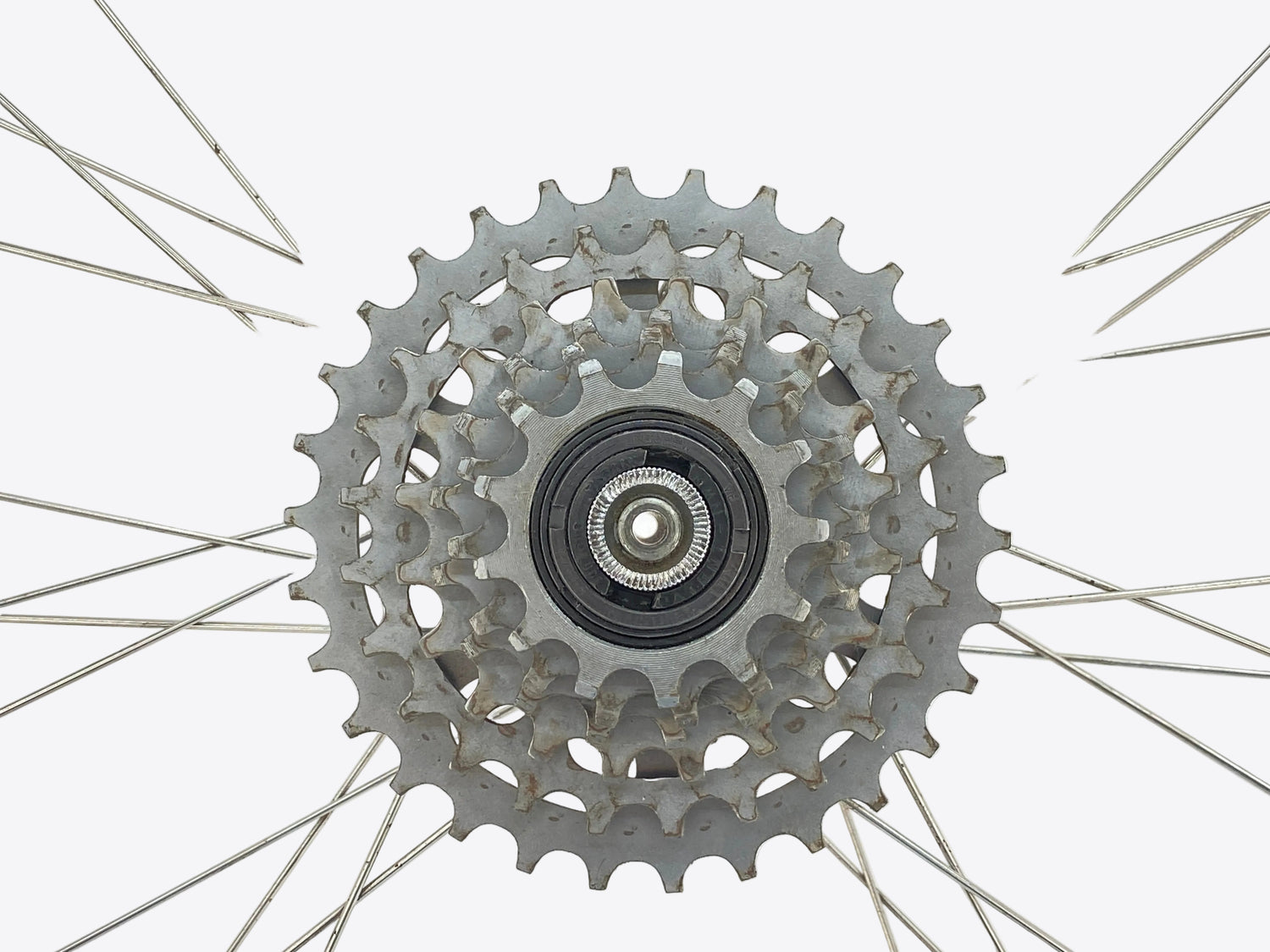 view of the freewheel