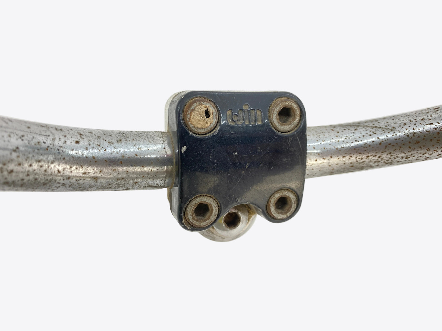 close up of the stem